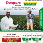 WELCOME burkina diaspora bond flyer